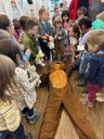 Teddy (4).jpeg