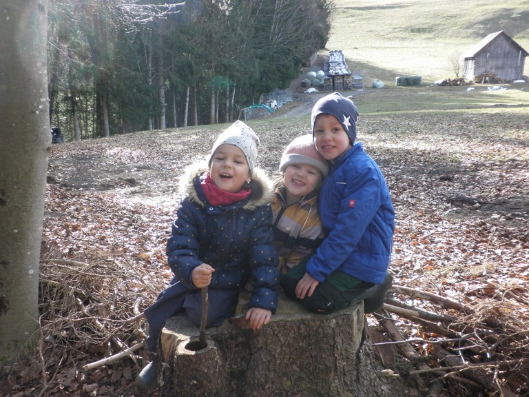 Waldtag02.JPG