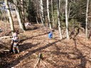 Waldtag03.JPG