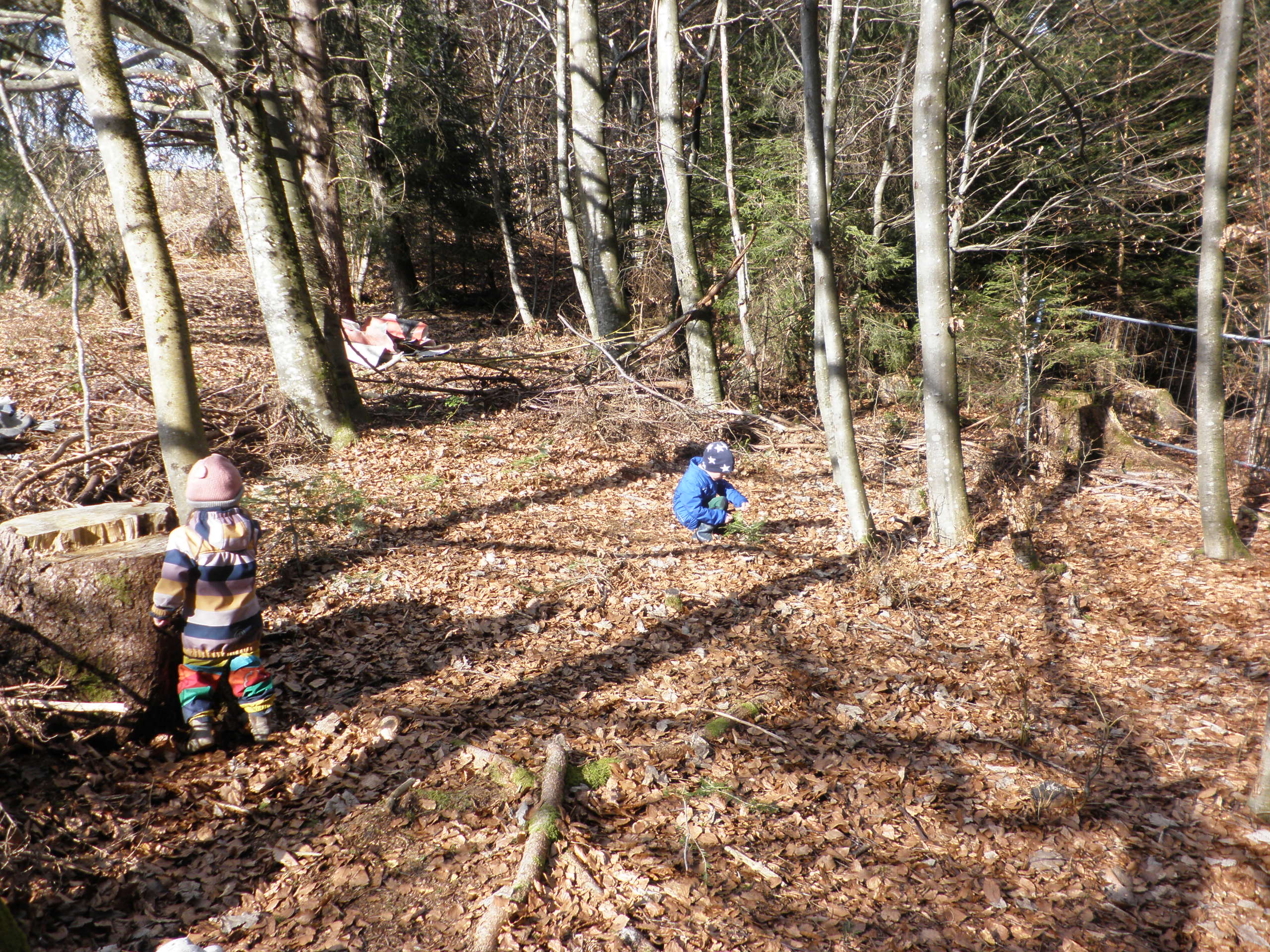 Waldtag03.JPG