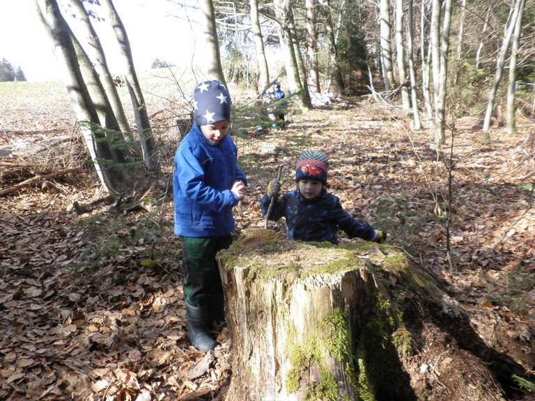 Waldtag05.JPG