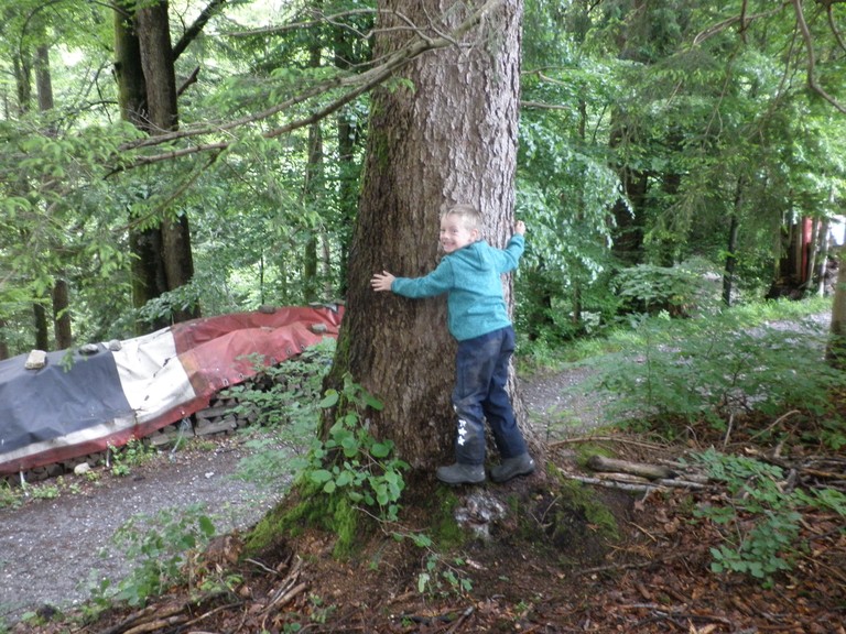 Waldwoche03.JPG