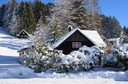 Winter 151217.1 (Copy).JPG