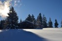 Winter 151217.12 (Copy).JPG