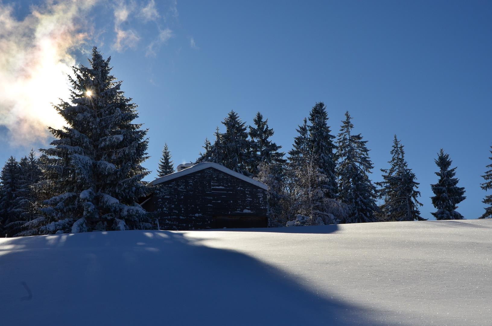 Winter 151217.12 (Copy).JPG