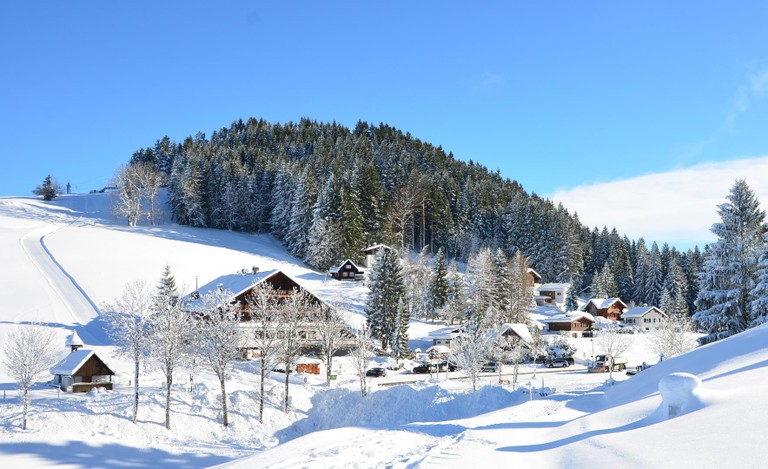 Winter 151217.19 (Copy).JPG