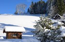 Winter 151217.2 (Copy).JPG
