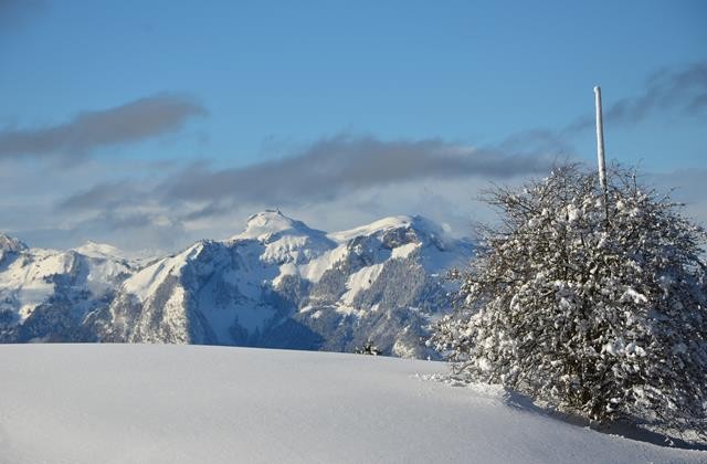 Winter 151217.28 (Copy).JPG