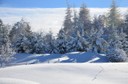 Winter 151217.36 (Copy).JPG