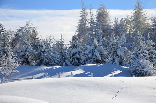 Winter 151217.36 (Copy).JPG