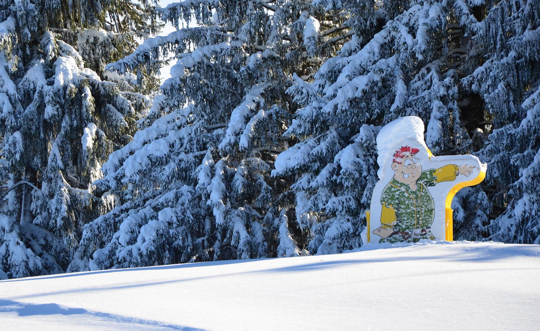 Winter 151217.43 (Copy).JPG