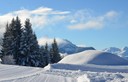 Winter 151217.44 (Copy).JPG