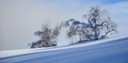Winter 151217.46 (Copy).JPG