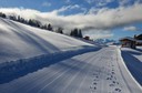 Winter 151217.48.JPG