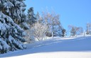 Winter 151217.6 (Copy).JPG