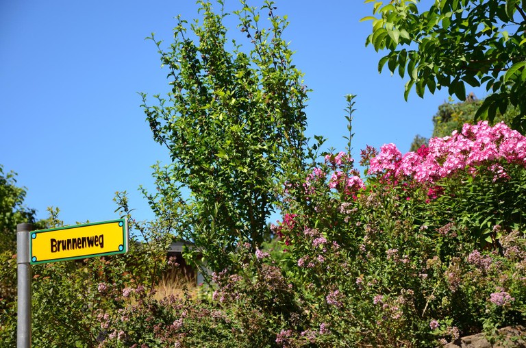 Zwischenwasser 160717.30 (Copy).JPG