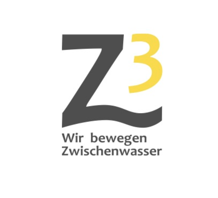 (c) Z3