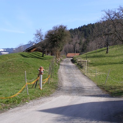 Flächenwidmung